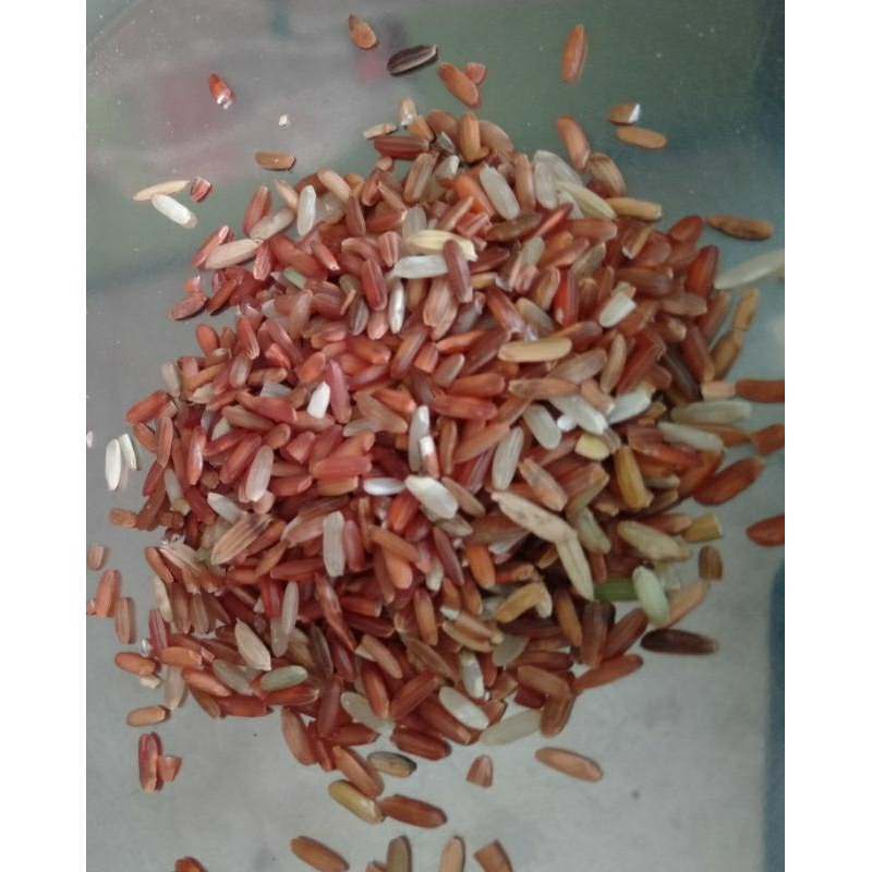 

Beras merah - 25 kilogram beras merah pakan hewan