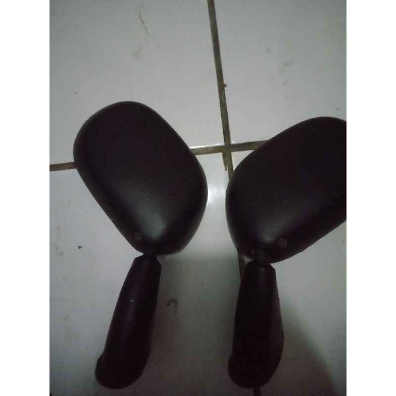spion ninja rr