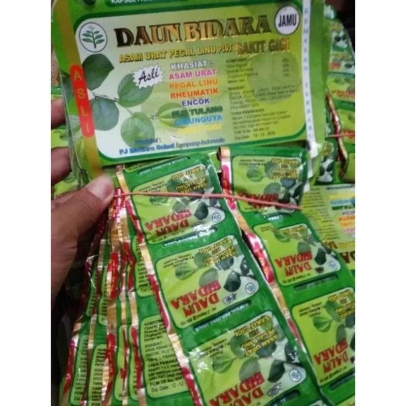 DAUN BIDARA ORI - KAPSUL DAUN BIDARA ASLI - HERB Asam urat pengapuran