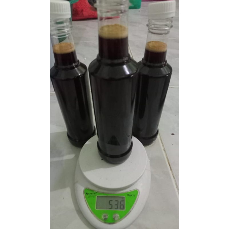 

madu hutan akasia