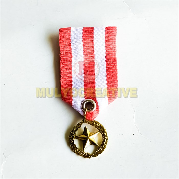 Pin Tanda Jasa Bintang Lencana Bintang Jasa Warna Gold