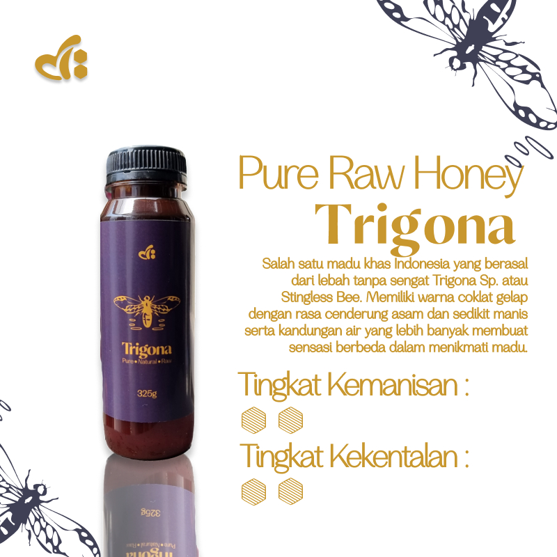 

Raw Honey by dBee - TRIGONA 325gr - Madu Mentah 100% Murni Klanceng Asli - Stingless Bee Honey Lebah Tanpa Sengat Premium Grade A