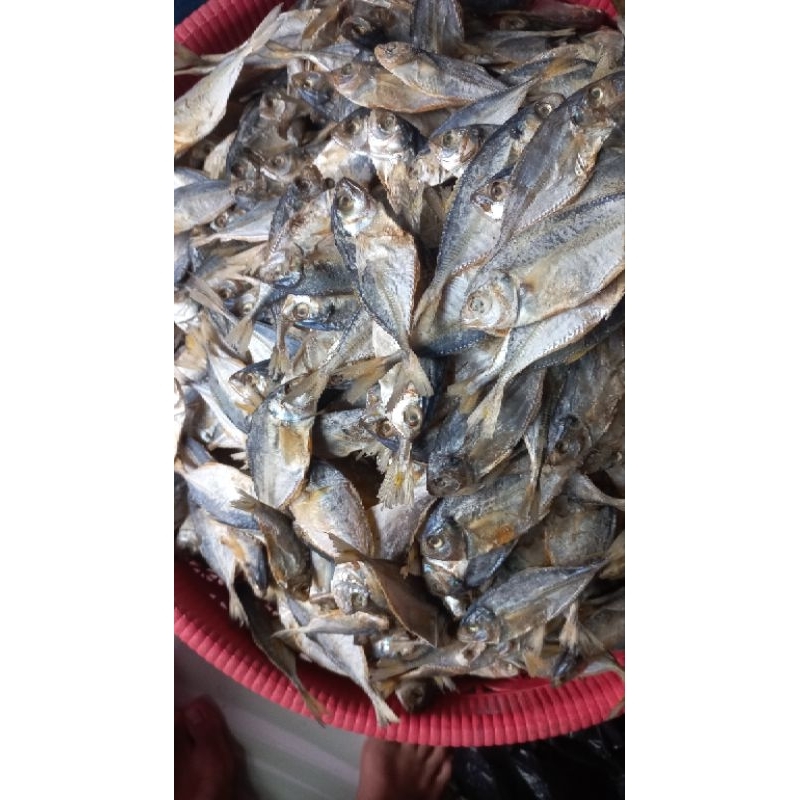 

ikan asin amping/dendeng