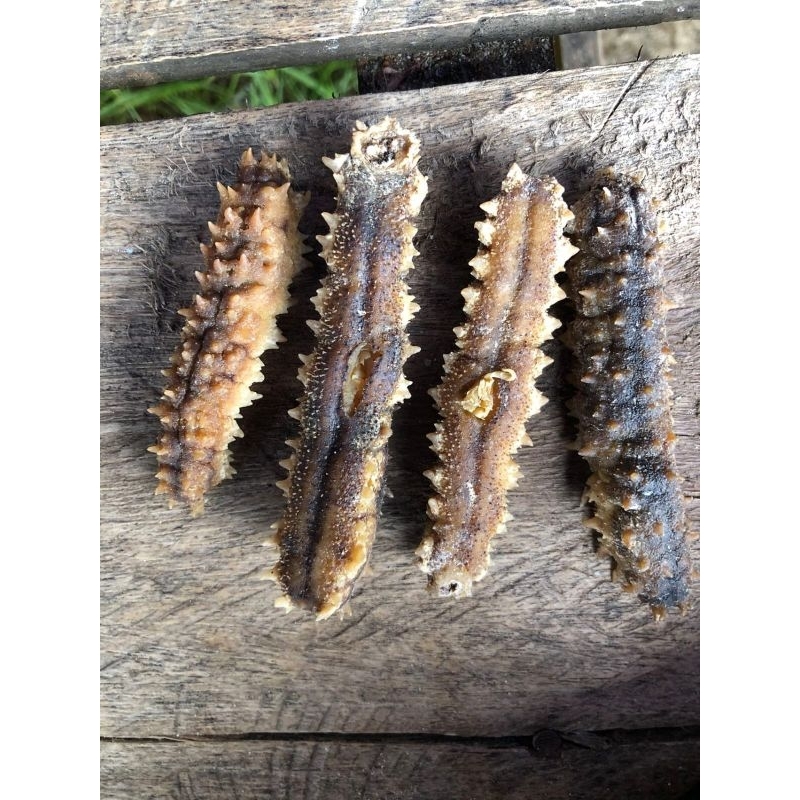 

Dried sea cucumber "Duri Gondrong