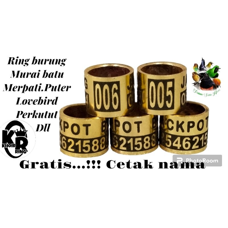 RING BURUNG MERPATI MURAI PUTER