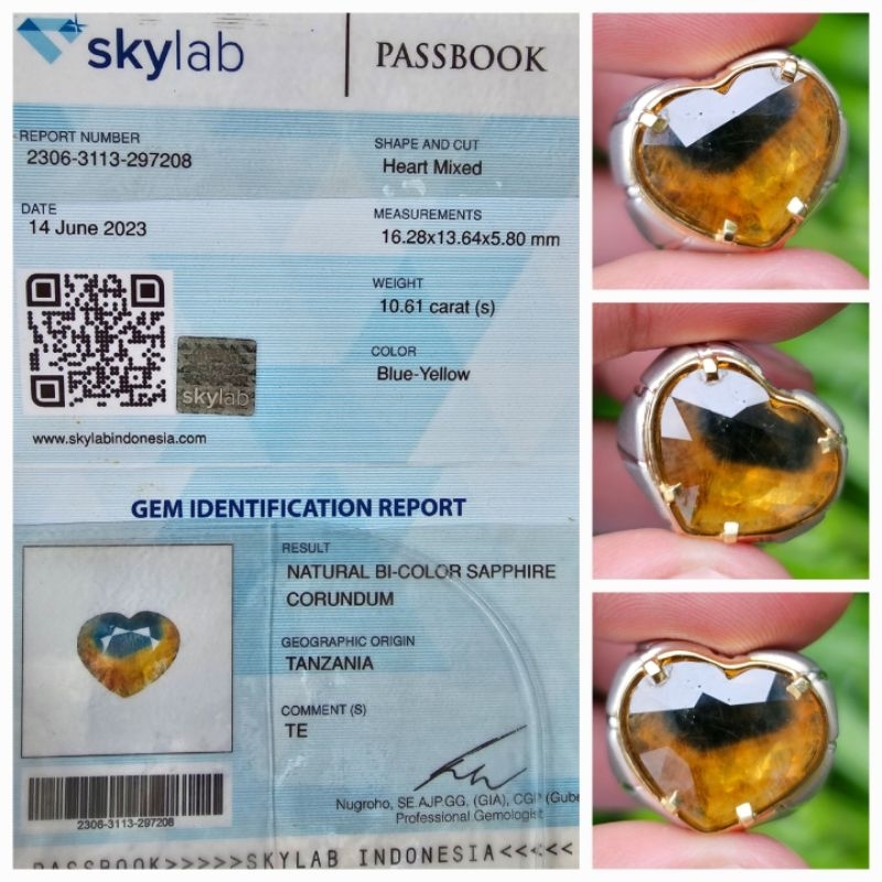 Natural Bi Color Sapphire Heart Love Sertifikat 10.61 crt