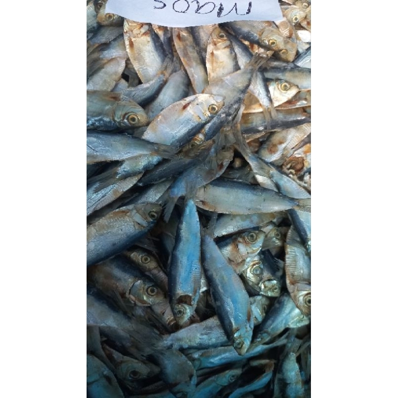 

ikan kering