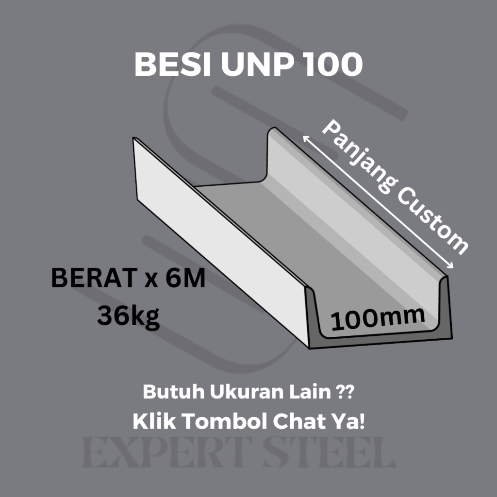 UNP 100 x 2M