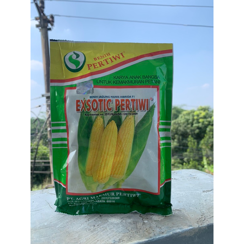Benih Pertiwi bibit jagung manis exsotic pertiwi
