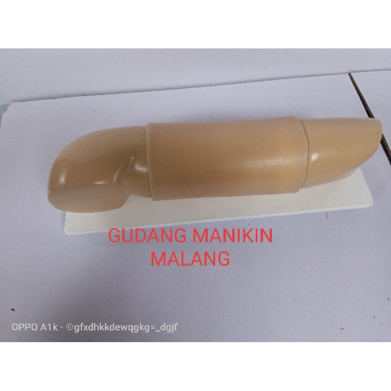 PHANTOM/MANIKIN LENGAN IMPLAN/ALAT PERAGA LENGAN IMPLAN/KEDOKTERAN