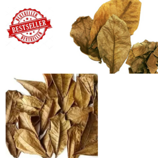 

Daun Ketapang Kering Asli dan Murah Isi 100pcs