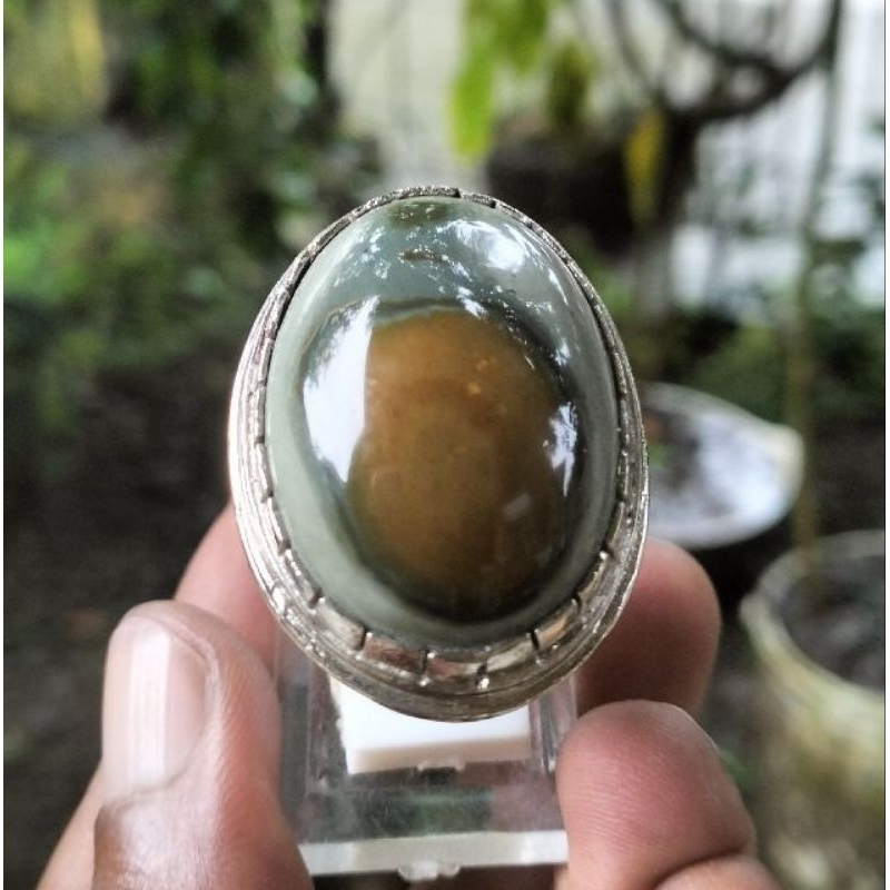 Batu cincin akik gambar kantong semar kode KS02