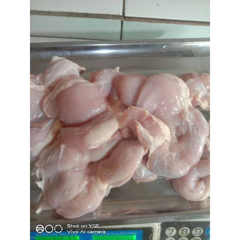 

AYAM PAHA PILET