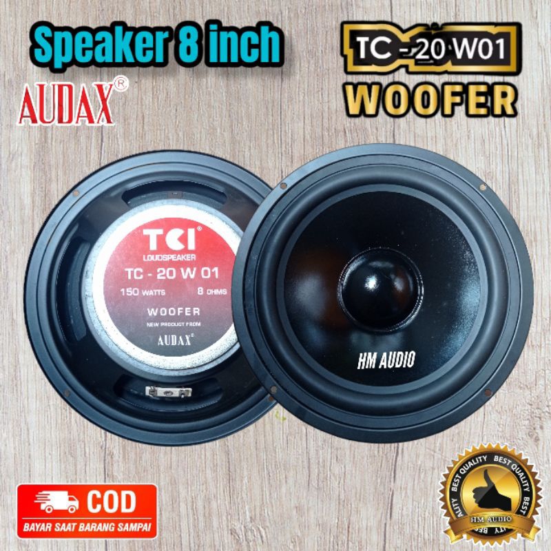 Speaker Audax 8 inch Woofer TC 20w -01