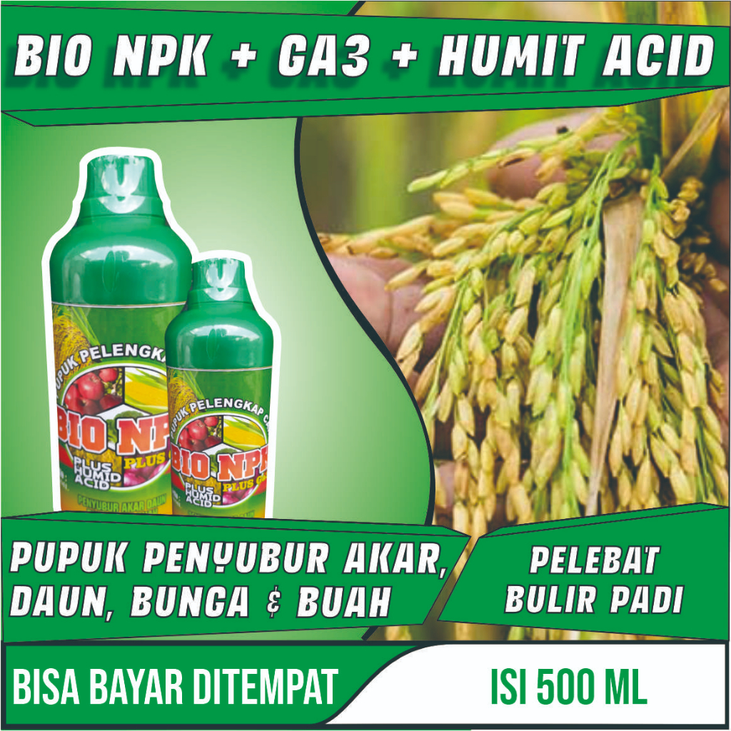 Pupuk Organik cair tanaman padi perangsang dan pelebat buah padi Bio Npk Plus Gaza 500 ML