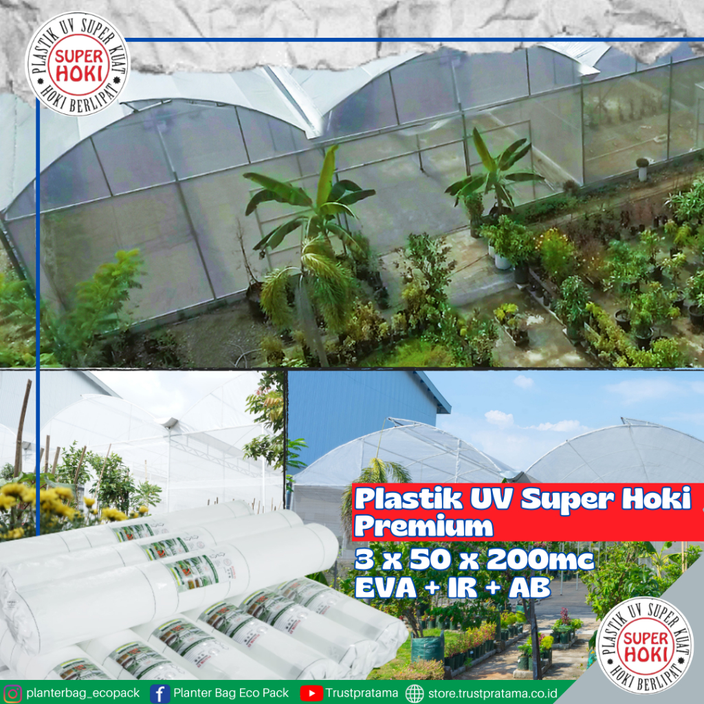 Plastik UV Lebar 3 meter x 50 meter x 200 micron (Premium Roll)