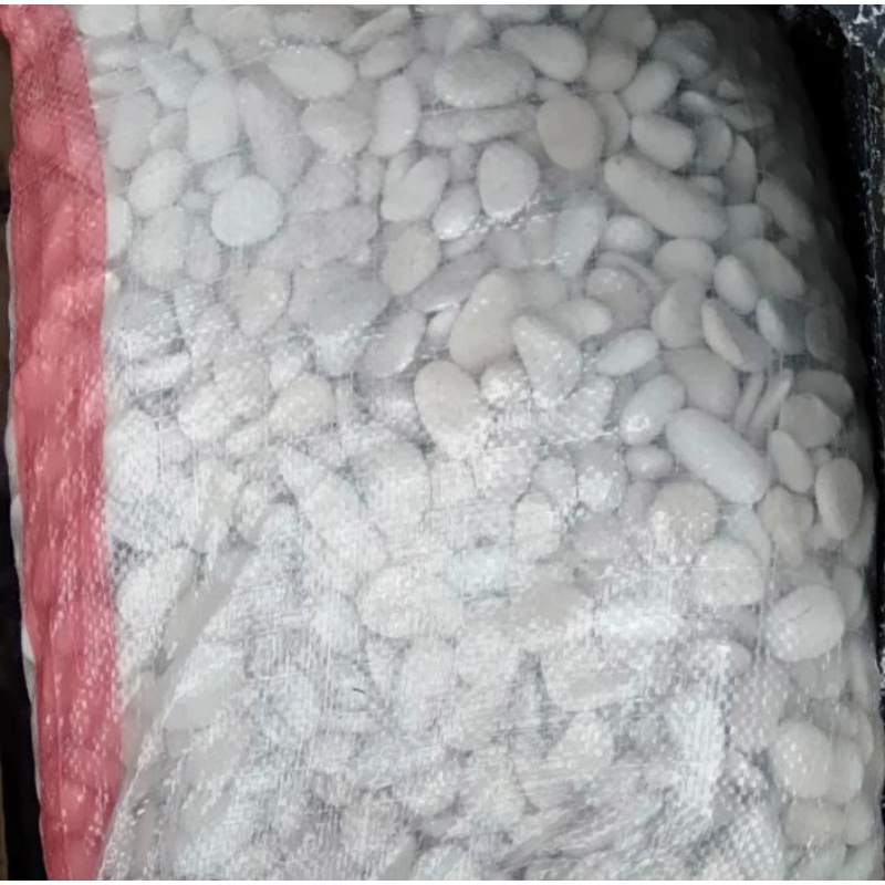 batu koral / batu sikat putih