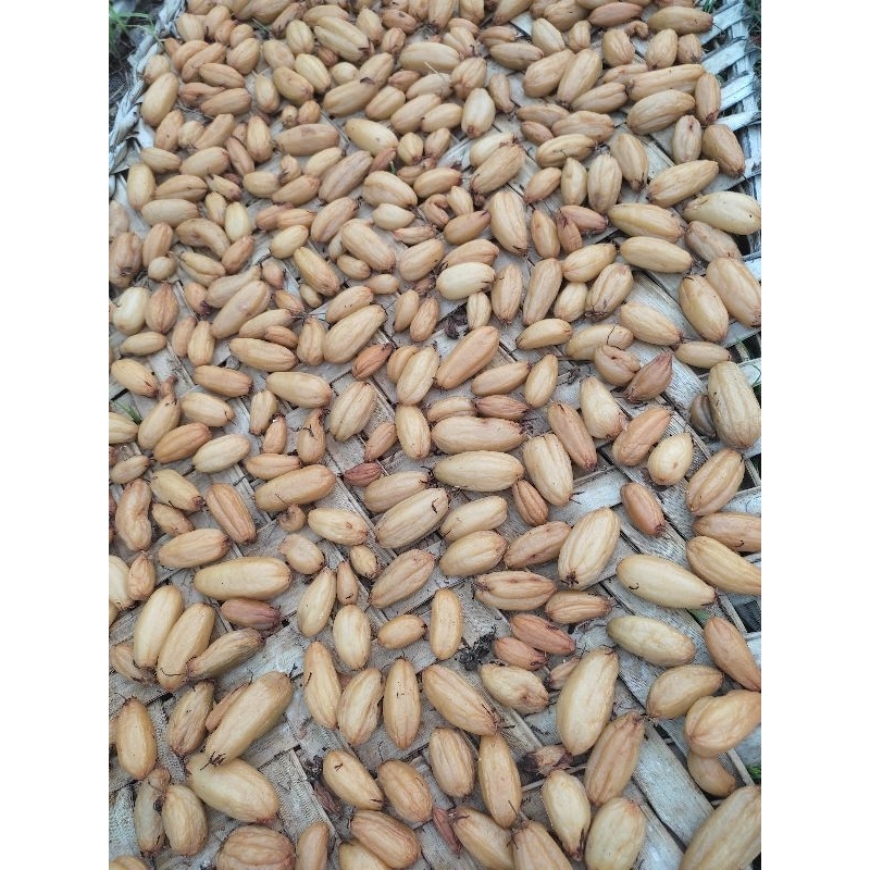 

Sunti kering Aceh fresh 1kg lsg dr kebun