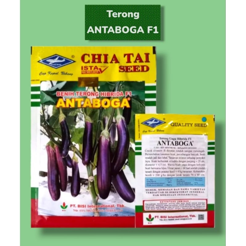 Benih Bibit Terong Antaboga F1 (Produk_Ori)