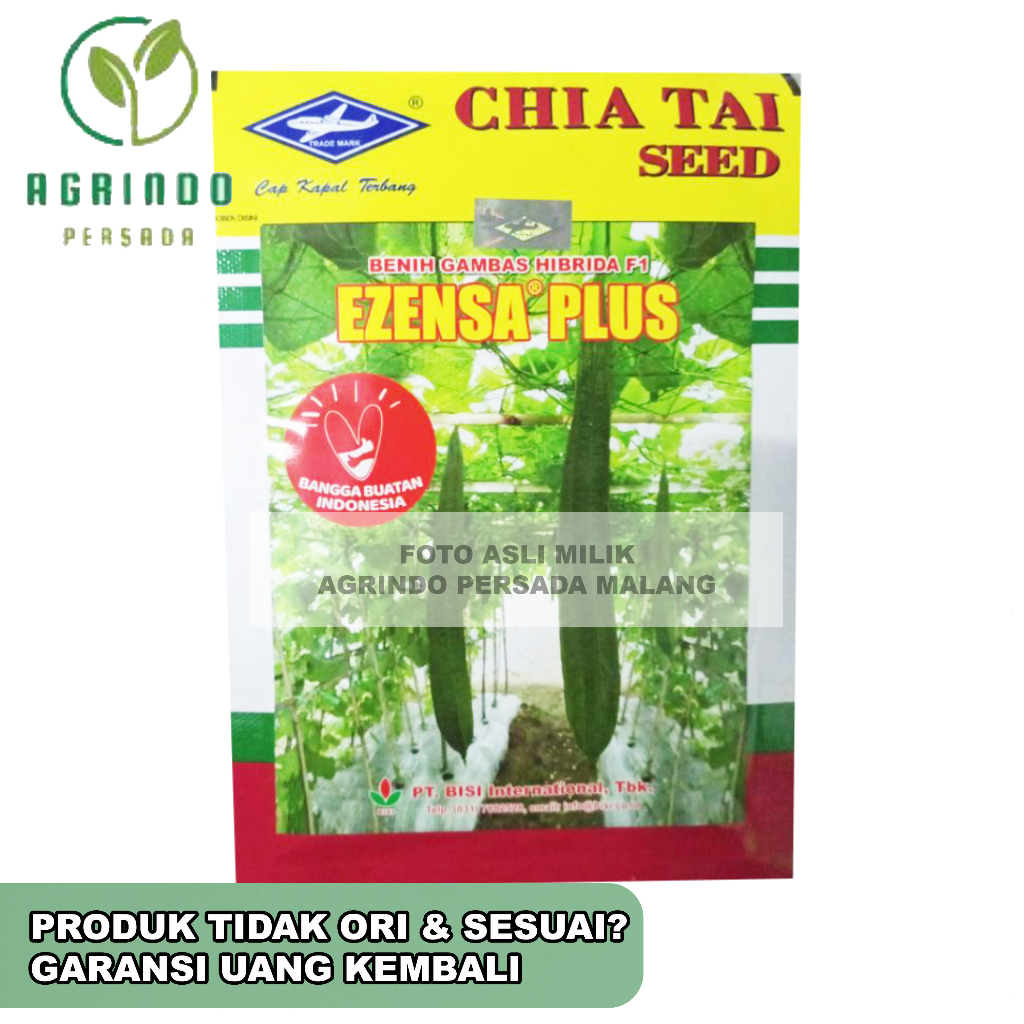 Bibit Benih Gambas Oyong EZENSA PLUS 10 gram Cap Kapal Terbang | Benih Esenza plus 10 gram