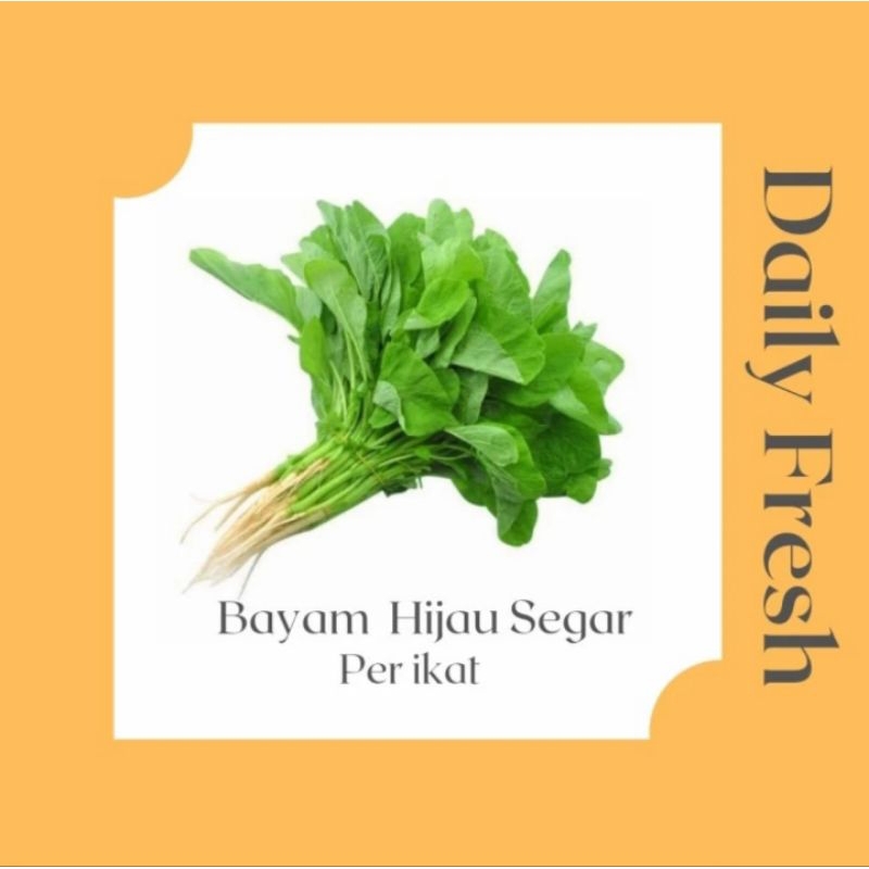 

Sayur Segar Daun Bayam