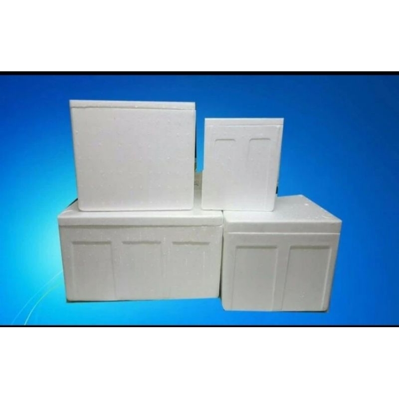 

Styrofoam Box Tambahan Packing Jarak Jauh