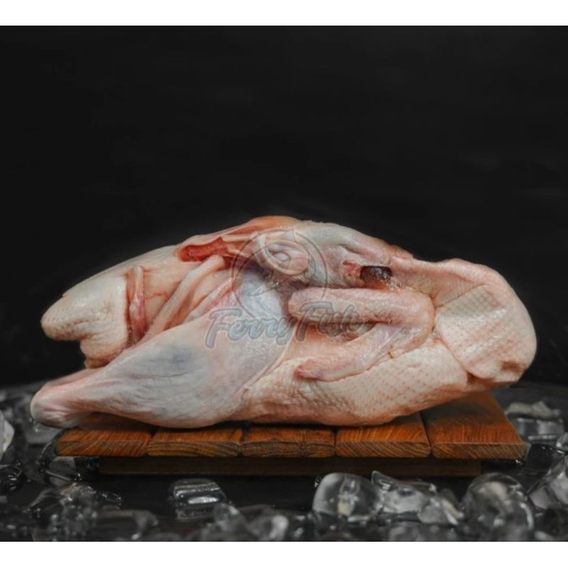 

Daging Bebek Peking 0,7 Kg Pakai Kepala kaki