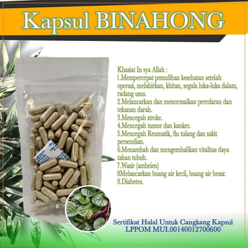 

Kapsul Binahong Herbal Alami Mengobati Gatal-gatal | Binahong Asli