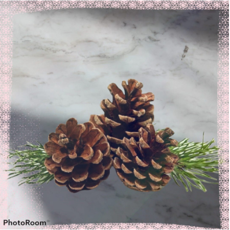 

TERMURAH, Jual Pinus Kering Untuk Aksesoris Mahar Parcel Mania Asesoris Pinus Kering,Aksesori Parcel,Pinus Kering Murah