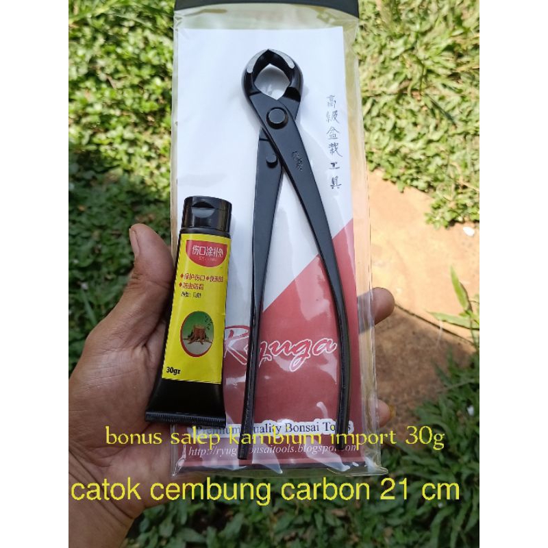 CATOK BONSAI CEMBUNG ORIGINAL CARBON RYUGA 21cm RC-08
