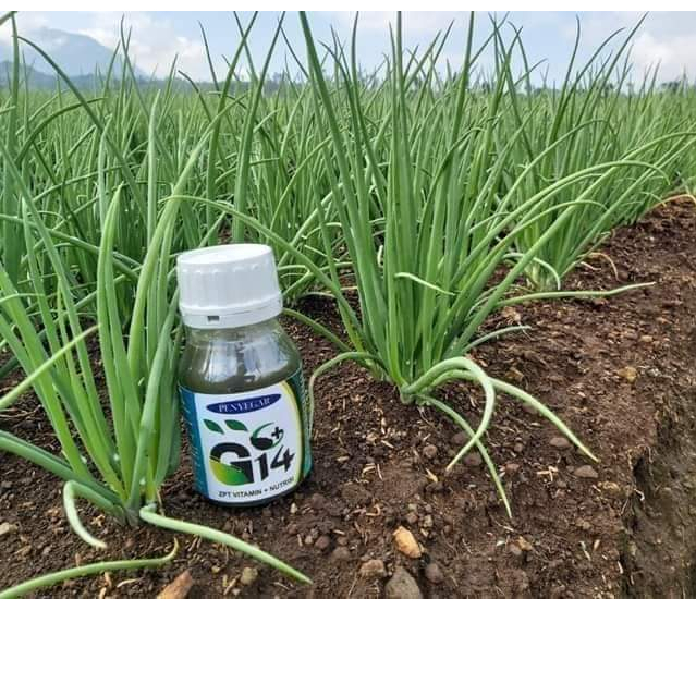 G14 Penyegar Tanaman ZPT vitamin + nutrisi isi 250 ml/pupuk daun cair/agroben/vitamin tanaman/penyeg