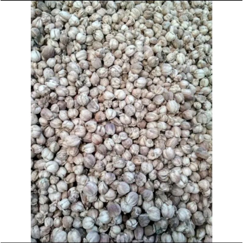 

Kapulaga Lokal Kering ,1Kg