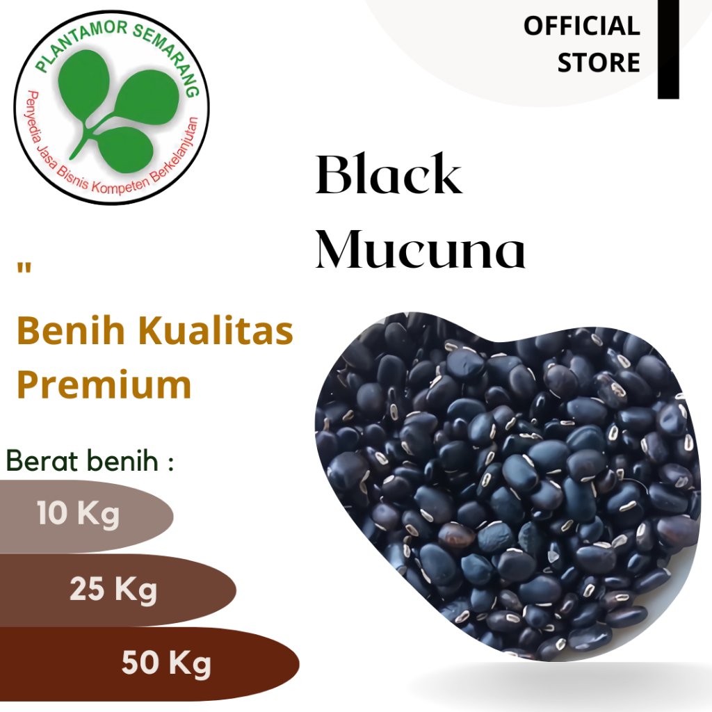 Benih Black Mucuna atau Koro Benguk Hitam 10kg /25 kg /50 Kg
