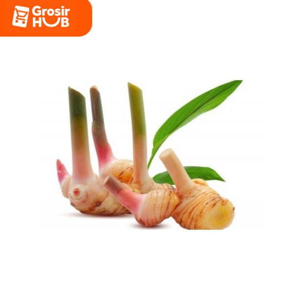 

Lengkuas/ Rempah 500g