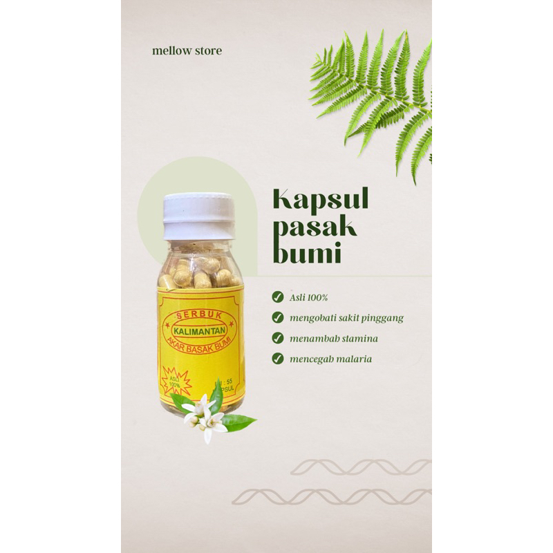 

Serbuk kapsul akar pasak bumi ramuan tradisional kalimantan asli 100%