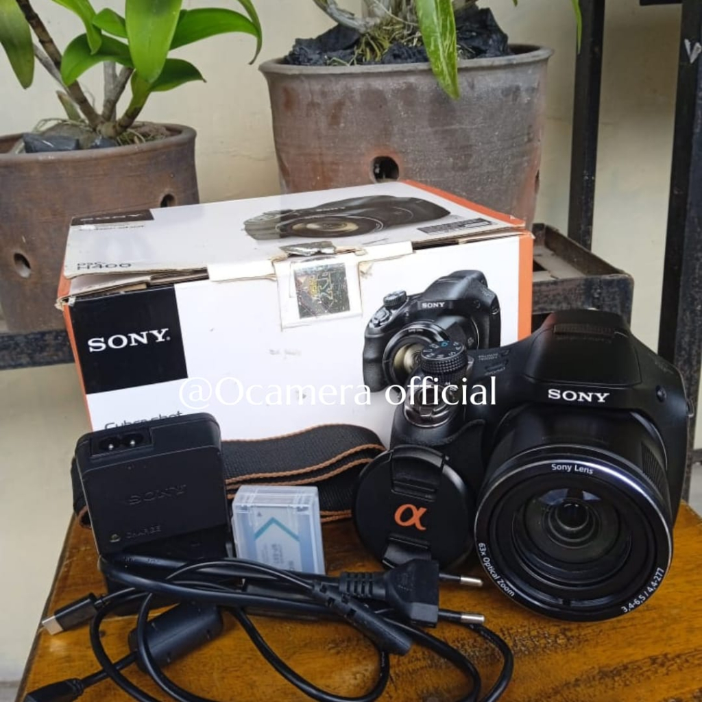 Sony DSC H400