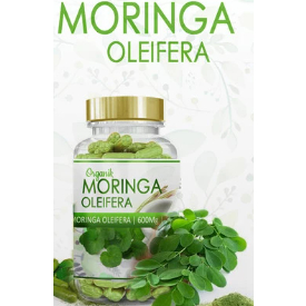 

Kapsul daun kelor murni moringa aliefera 100pcs