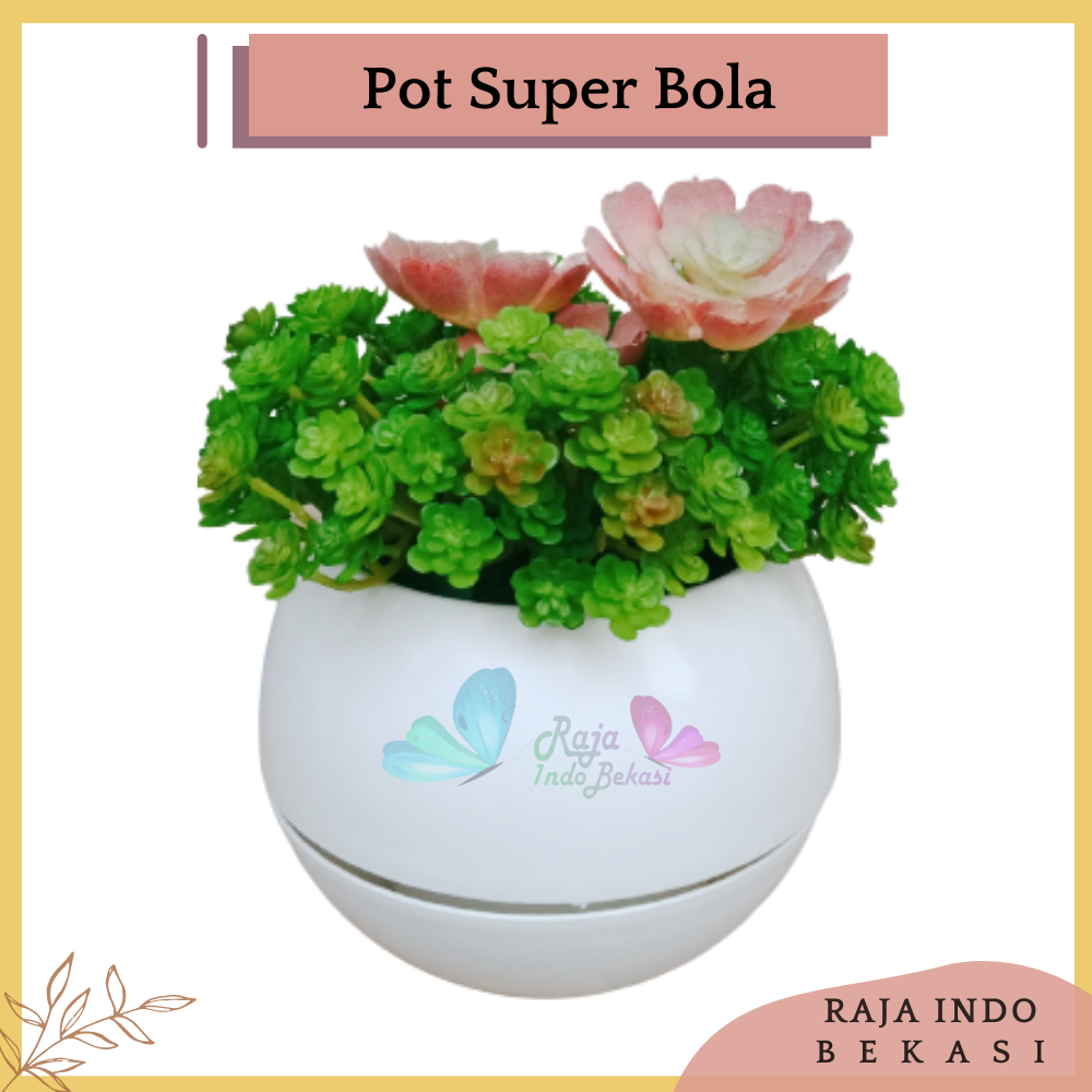 Pot Super Bola Putih Pot Bulat Vienna Putih Coklat Besar Pot Bola Vienna 677 676 Anggrek Moci Mini J