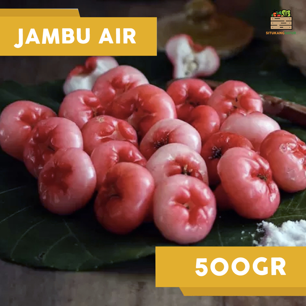 

Jambu Air | ±500gr (Kota Bandung & Sekitar)