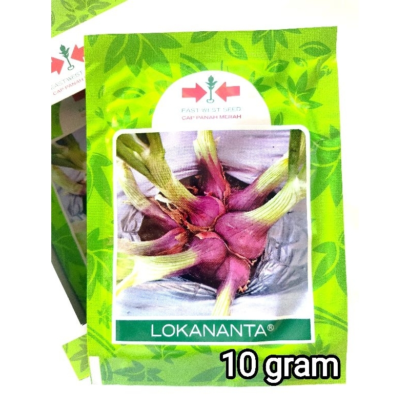 Benih bawang merah LOKANANTA 10 gram Cap Panah Merah