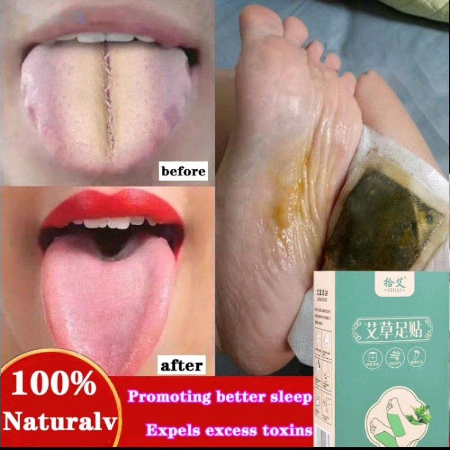 Itsuki Kenko Koyo Kaki Bvit