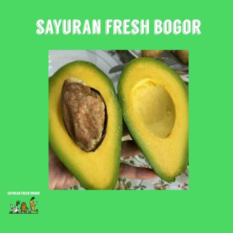 

Buah Alpukat ( 500 Gram ) | Sayuran Fresh Bogor