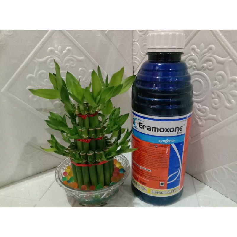 Gramoxone 276SL Herbisida kontak 1 Liter