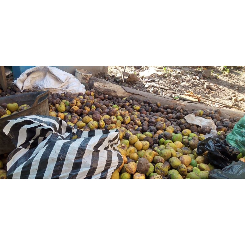 

Keripik Gayam/Gatep