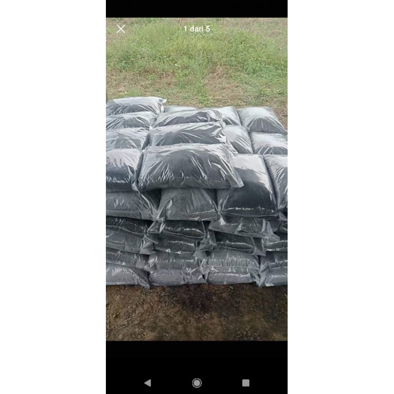 Media tanam kotoran sapi murni