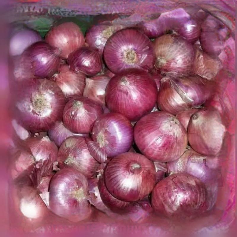 

Bawang merah Brebes