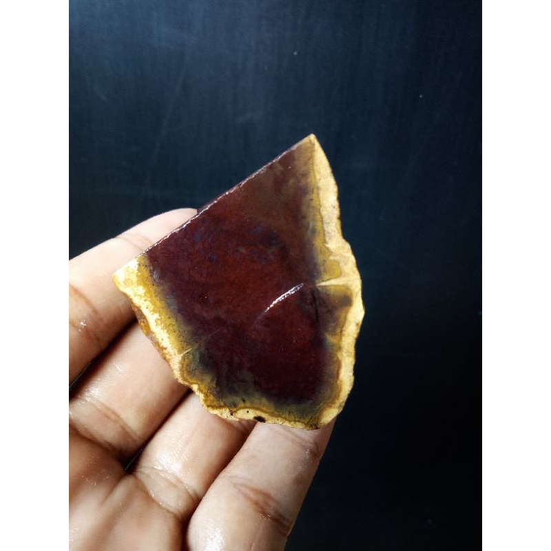 Rough Bahan Lumut Merah Suliki Sumatera