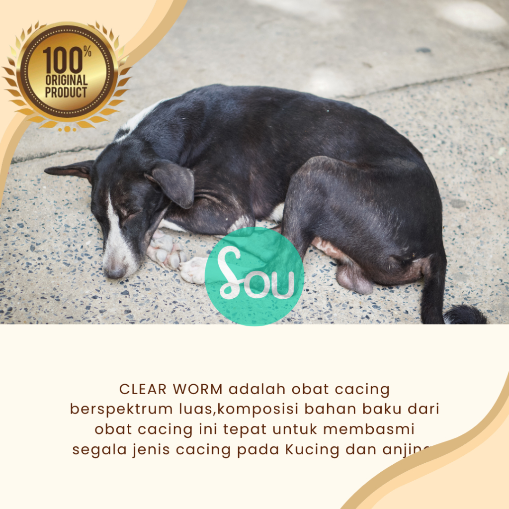 Obat Cacing Kucing Anjing Kelinci Clearworm