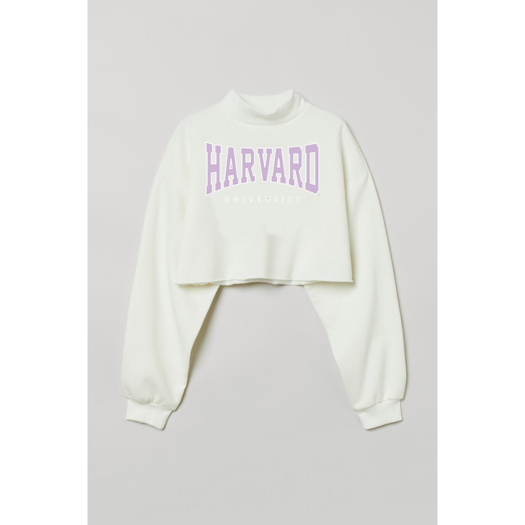 Crewneck Crop H&amp;M HARVARD UNIVERSITY Broken White Sweater Crop Wanita Putih