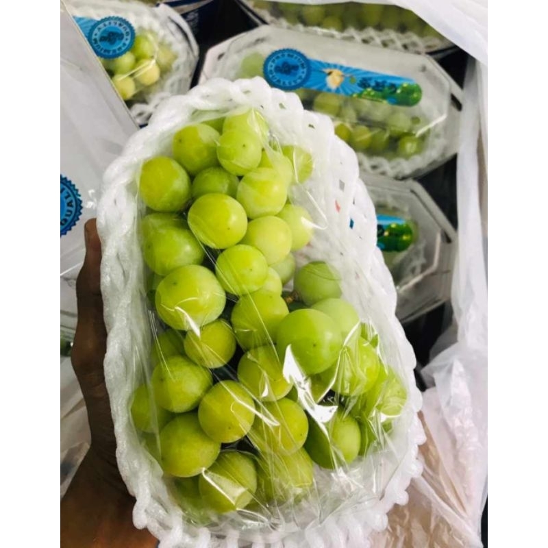 

Buah Anggur Shine Muscat Hijau Korea, Anggur Hijau Korea Manis Tanpa Biji Per Pack